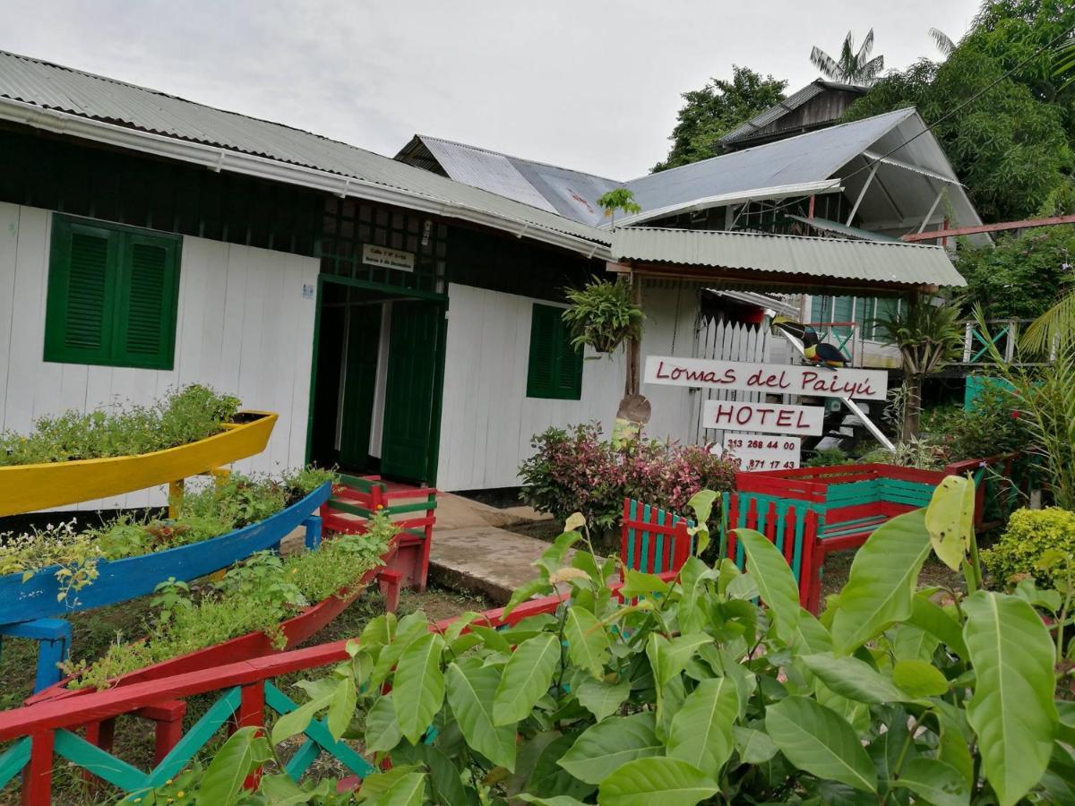Hotel Lomas Del Paiyue Puerto Nariño Zewnętrze zdjęcie