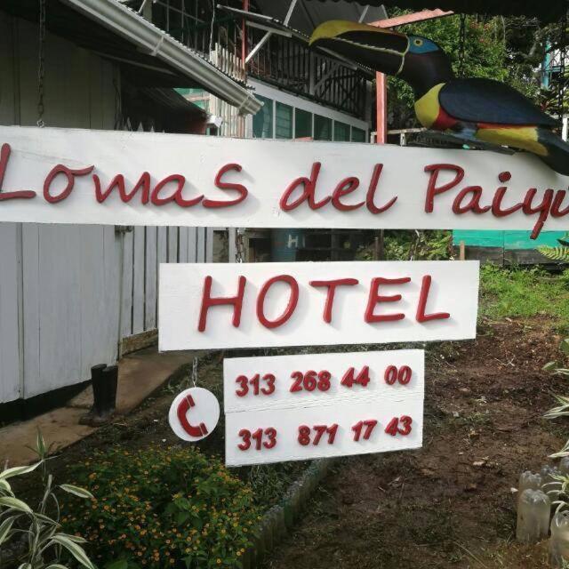 Hotel Lomas Del Paiyue Puerto Nariño Zewnętrze zdjęcie